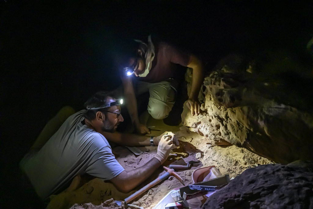 Arabie Saoudite, Al Jawf, Sakaka, Camel Site. Prélévement d'échantillon sur   un rocher provenant d'un des massifs  sculptés afin d'en daté la chute par la technique dite OSL (luminescence stimulée optiquement) . Ce procédé qui consiste à prélever une partie de la roche non exposée à la lumière du jour permet de recueillir et de mesurer en laboratoire la lumière fossile datant d'avant l'évènement, quand le bloc rocheux était encore en place sur le massif. Ce prélèvement doit se faire dans l'obscurité. Sur cette photographie les scientifiques peuvent utiliser une lampe à lumière blanche car ils prélèvent un échantillon témoin exposé à la lumière du jour contemporaine afin de comparer sa photoluminescence à l'échantillon à dater.Saudi Arabia, Al Jawf, Sakaka, The Camel Site. The prehistorian Remy Crassard and the archeologist Guillaume Charloux are taking samples from a rock from one of the sculpted massifs in order to date the fall by the so-called OSL technique (optically stimulated luminescence). This process, which consists of taking a part of the rock not exposed to daylight, enable to collect and measure, in the laboratory, the fossil light that it stored before its fall. This sample must be taken in the dark. In this photograph, scientists can use a white light lamp as they take a control sample exposed to contemporary daylight in order to compare its photoluminescence with the sample to be dated.Photographie extraite du projet photographique «Le Camel Site menacé»