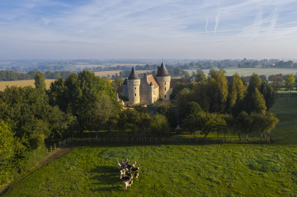 Le Manoir de l'Angenardière. Qu’il est imposant ce manoir. Au plus haut, le rempart culmine à huit mètres, sans autre ouverture que des fenêtres de tir. C’est une histoire de soldats et de combats qui s’est traduite ici. Son créateur, son inventeur, est Pierre de Fontenay. C’était l’un des hommes les plus puissants du Perche au moment de la Renaissance : gouverneur de la ville de Bellême et de son château ainsi que du comté du Perche, gentilhomme ordinaire de la chambre du roi. Pierre de Fontenay est aussi un guerrier. Il a bataillé sans relâche contre la ligue et pour le futur roi Henri IV. Il a fait le « bon choix » et en sera récompensé. Comblé d’honneurs, Fontenay se fait construire dans la vallée de la Rosière, à la fin du XVIe siècle, la plus jolie maison qui soit. Il dicte à l’architecte ses phantasmes d’homme de guerre. Meurtrières, mâchicoulis, échauguettes... tout y est. C’est un décor plus qu’autre chose. Mais quel effet !Qu’il est imposant ce manoir depuis l’objectif d’Hubert Raguet qui englobe et nous donne à voir l’Angenardière et son enceinte ponctuée de tours. Au plus haut, le rempart culmine à huit mètres, sans autre ouverture que des fenêtres de tir. C’est une histoire de soldats et de combats qui s’est traduite ici. Son créateur, son inventeur, est Pierre de Fontenay. C’était l’un des hommes les plus puissants du Perche au moment de la Renaissance : gouverneur de la ville de Bellême et de son château ainsi que du comté du Perche, gentilhomme ordinaire de la chambre du roi. Pierre de Fontenay est aussi un guerrier. À la tête de deux compagnies d’une cinquantaine d’hommes à cheval chacune et d’une centaine d’hommes à pied il a bataillé sans relâche contre la ligue et pour le futur roi Henri IV. Il a fait le « bon choix » et en sera récompensé. Comblé d’honneurs, Fontenay se fait construire dans la vallée de la Rosière, à la fin du XVIe siècle, la plus jolie maison qui soit. Il dicte à l’architecte ses phan- tasmes d’homme de guerre. Meurtrières, mâchicoulis, échauguettes... tout y est. C’est un décor plus qu’autre chose. Mais quel effet ! Comme la plupart des manoirs, l’Angenardière deviendra une ferme et le restera jusque dans les années soixante ou il sera l’un des premiers à être sauvé d’une ruine certaine par des amoureux du patrimoine. Photographie extraite du projet photographique "les manoirs du Perche"